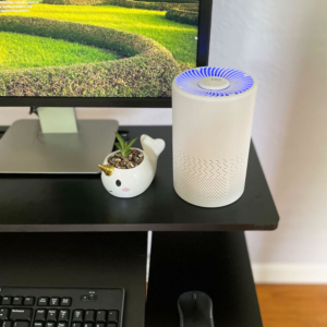 Vio Personal Air Purifier on work station desk