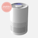 Personal Air Purifier